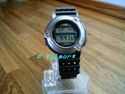 DW-295-1V